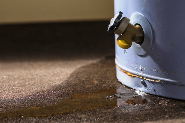Sewage cleanup and water damage restoration in Morton, PA