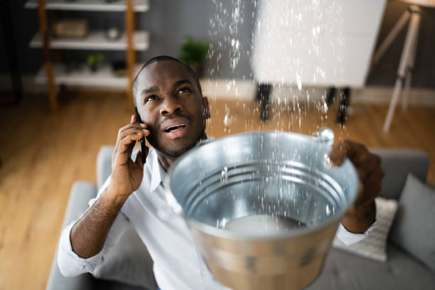 Best Local water damage restoration  in Morton, PA